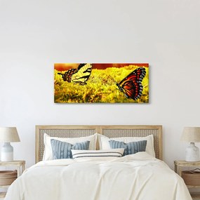 Tablou cu fluturi (120x50 cm)