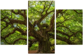 Tablou - Copac verde (90x60 cm)