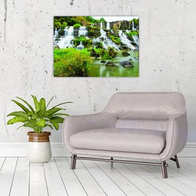 Tablou - cascade cu plante (70x50 cm), în 40 de alte dimensiuni noi