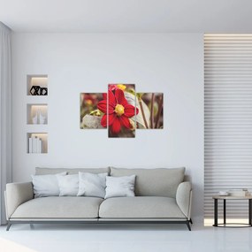 Tablou cu floare (90x60 cm)