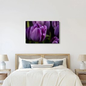 Tablou cu flori de lalele (90x60 cm)