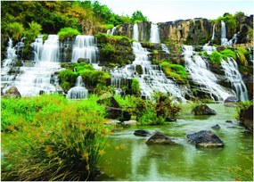 Tablou - cascade cu plante (70x50 cm)