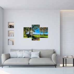 Tablou Privire la câmp (90x60 cm)