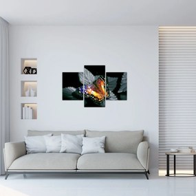 Tablou cu fluture (90x60 cm)