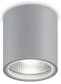 Spot aplicat IP44 GUN PL1 GRIGIO 163642 IDL