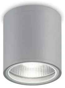 Spot aplicat IP44 GUN PL1 GRIGIO 163642 IDL