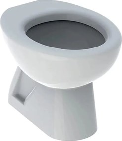 Vas wc pe pardoseala pentru copii Geberit Bambini cu spalare verticala fara orificii pe capacul wc