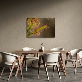 Tablou pe sticlă cu plantă (70x50 cm)