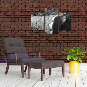 Tablou - Picior de elefant (90x60 cm)