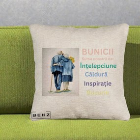 Cadou pentru Bunici - Perna Personalizata Bunicii Sursa Intelepciune Caldura Acuarela, 40x40 cm, Bej Canapea, Husa Detasabila, Perna Inclusa, BEKZ®