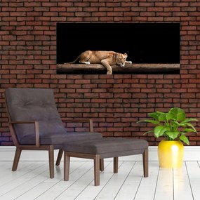 Tablou - Lioness (120x50 cm)