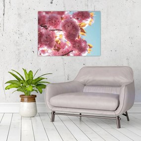 Tablou pe sticlă - Floare de cireș (70x50 cm)