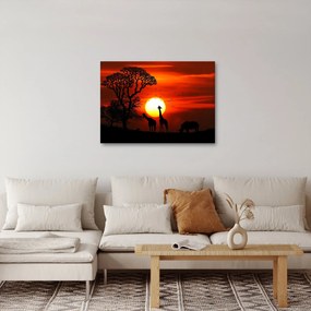 Tablou - Siluete animalelor la apus de soare (70x50 cm)