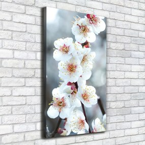Imprimare tablou canvas Flori de cireș