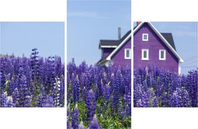 Tablou cu câmp de lavanda (90x60 cm)