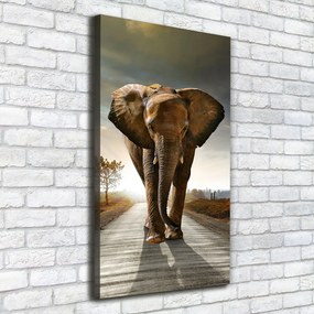 Print pe pânză Elefant de mers pe jos