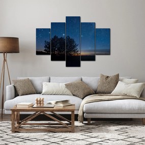 Tablou cu copaci noapte (150x105 cm)
