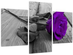 Tablou - Trandafir violet cu tulpina verde (90x60 cm)