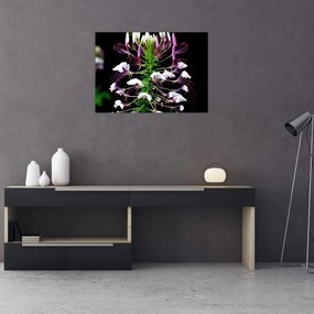 Tablou pe sticlă cu floare (70x50 cm)