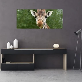 Tablou cu girafa (120x50 cm), în 40 de alte dimensiuni noi