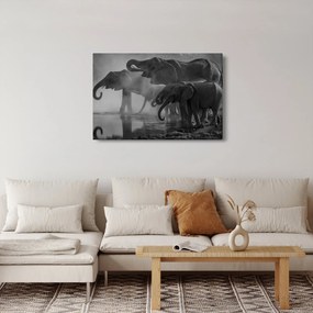 Tablou cu elefanți - albnegru (90x60 cm)