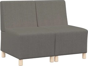 vidaXL Unitate Sofa Modulară Fără Brațe 2 pcs Gri deschis