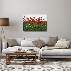Tablou pe sticlă - Maci în vânt (70x50 cm)