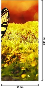 Fototapet pentru ușă - Fluturi (95x205cm)
