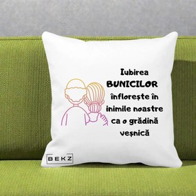Cadou pentru Bunici - Perna Personalizata Iubirea Bunicilor Infloreste Cuplu Line Art Gradient, 40x40 cm, Alba Mata, Husa Detasabila, Perna Inclusa, BEKZ®