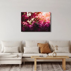 Tablou cu florile tufișului înflorit (90x60 cm)