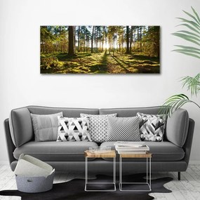 Tablou pe pânză canvas O pădure de pini
