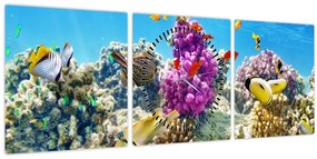 Tablou - Lumea mării (cu ceas) (90x30 cm)