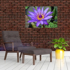 Tablou - Floare violet (90x60 cm)