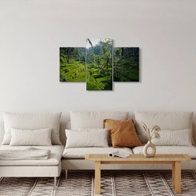 Tablou cu terasele cu orez Tegalalang, Bali (90x60 cm)
