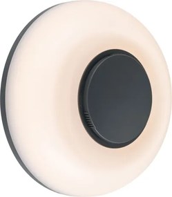 Paulmann 94955 - LED/20,5W IP65 Aplică de perete pentru exterior reglabilă AUREVA 230V