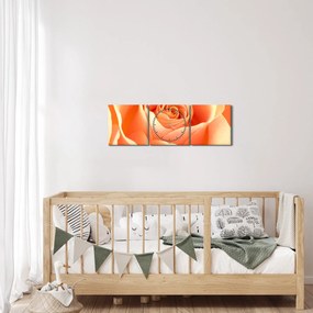 Tablou - Imaginea- Trandafiri, culoarea caisei (cu ceas) (90x30 cm)