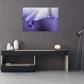 Tablou - Petală cu picături (90x60 cm)