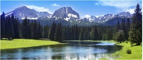 Tablou - vâfurile montane înzăpezite (120x50 cm)
