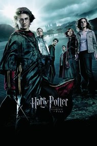 Poster de artă Harry Potter and the Goblet of Fire