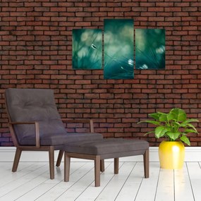 Tablou - Detaliu iarbă (90x60 cm)