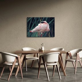 Tablou - Pasărea Flamengo (70x50 cm)