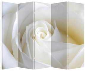 Paravan - Trandafir alb (210x170 cm)