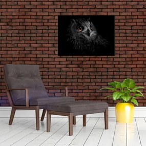 Tablou - Bufniță, ilustrație (70x50 cm)