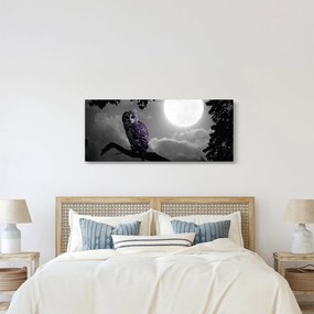 Tablou - Bufniță de noapte, bufniță mov (120x50 cm)