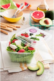 Caserole pentru alimente 3 buc. – Snips