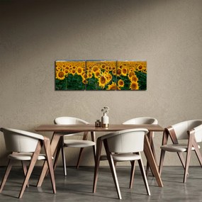 Tablou câmpului de floarea soarelui (cu ceas) (90x30 cm)