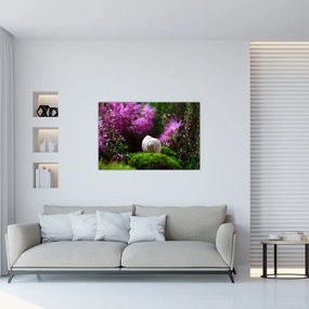 Tablou - Cochilie de melc (90x60 cm)