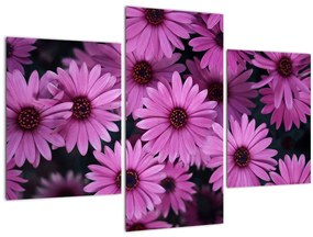 Tablou cu florile roz (90x60 cm)