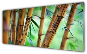 Tablou pe sticla Bamboo Natura Galben