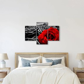 Tablou - Trandafir (90x60 cm)
